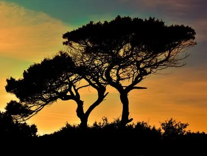 Relieve Pain, Stress And Tension With 174 Hz Tuning Fork