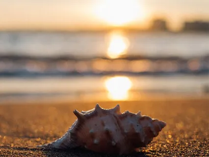 Relieve Stress & Calm Down