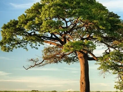 Relieving Anxiety (Piano Based Practice)