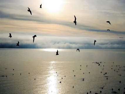 Relieving Stress By Breathing And Noticing (Beginner)