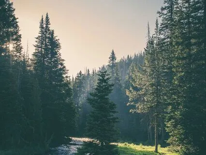 Religion Sleep Facts