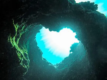 Relinquish Your Struggles, Open To The Mystery Of Your Being