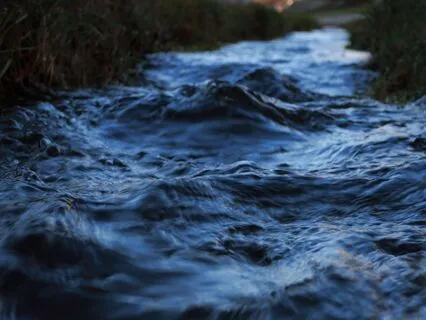 Relinquishing Control And Flowing With Life