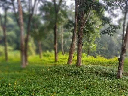 "Relying On The Universal Intelligence"