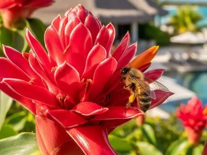 Remain Positive During A Crappy Day