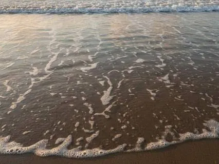 Remember, Forget, Repeat: Why - The Great Oscillation