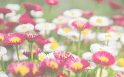 Remember That You Always Get Over it!