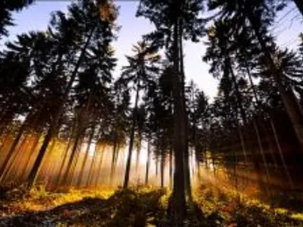 Remember The Way Home