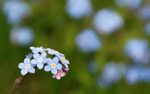 Remember To Remember Guided Meditation