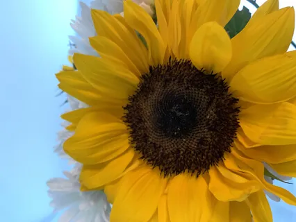 Remember Who You Are