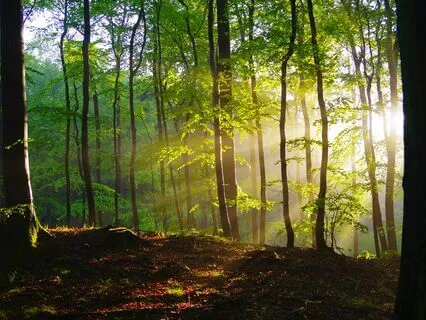 Remember Who You Are | An Inspiring Morning Meditation