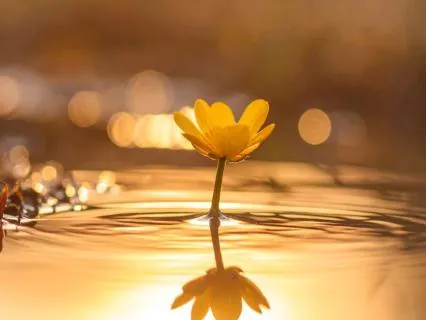 Remember Who You Are (Freedom, Love & Possibility)