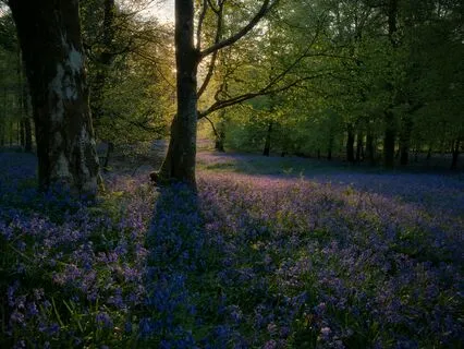 Remember Who You Truly Are