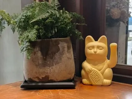 Remembering > Forgetting