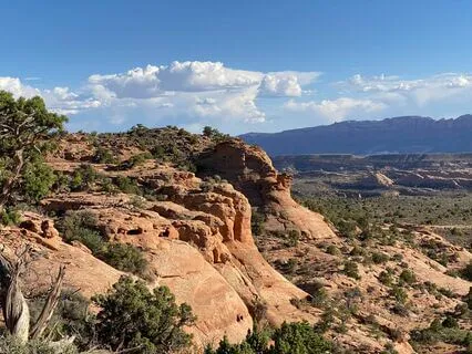 Remembering Gratitude Song