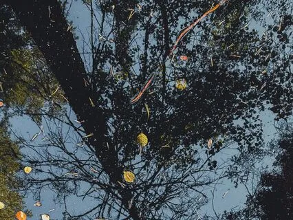 Remembering How Far You've Come