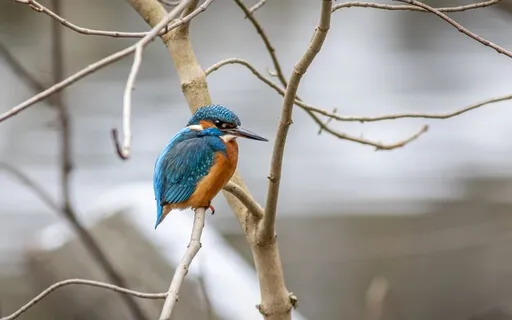 Remembering Joy And Delight In Your Business