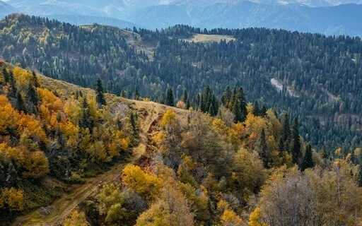 Remembering Joy And Delight In Your Business