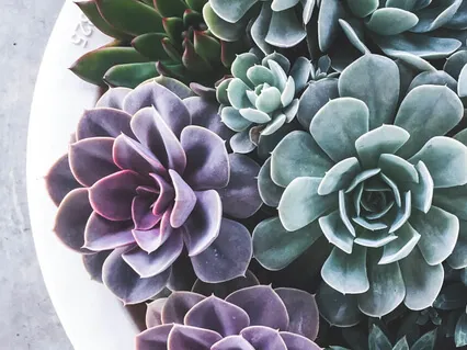 Remembering Our Inherent Goodness