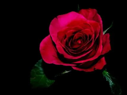 Remembering Our Loved Ones