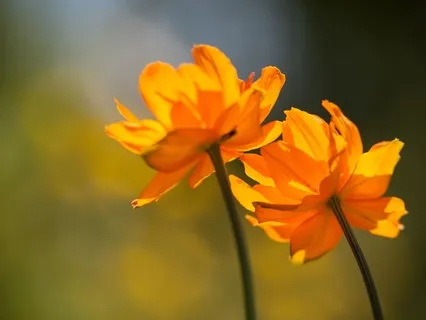 Remembering Our Place Within Co-Creation