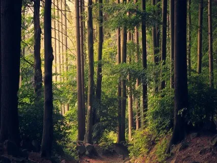 Remembering Ourselves