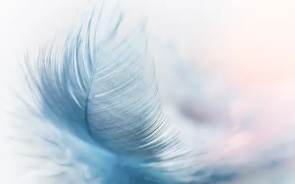 Remembering Soul: A Visualisation  