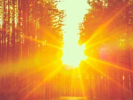 Remembering That Your Body Is A Gift From The Universe