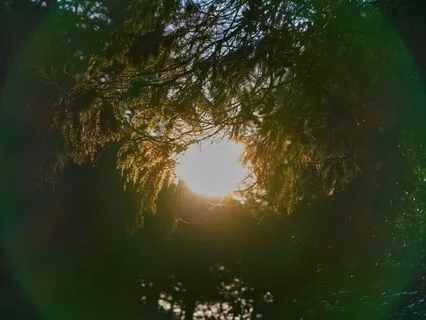 Remembering The Soul (Sleep Meditation)