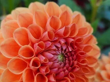 Remembering To Breathe