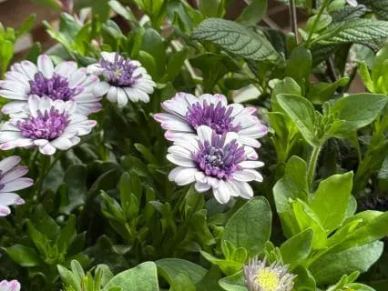 Remembering To See The Blessings In Life