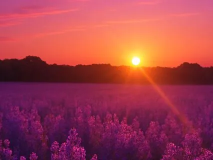 "Remembering Who I Am"