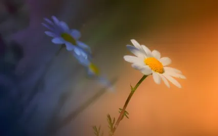 Remembering Who We Are