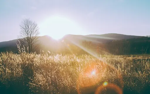 Remembering Who You Are