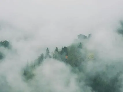 Remembering Why You Came Here