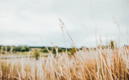 Remembering You Aren't Broken 