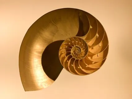 Remembering Your Eternal Nature