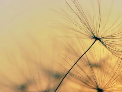 Remembering Your Inherent Worth