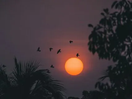 Remembering Your Innate Goodness