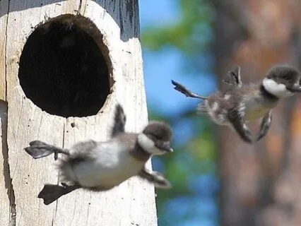 Remembering Your Motivation