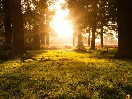 Remembering Your Soul Self And Access Peace Now