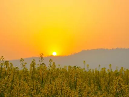 Remembering Your True Essence – Source Alignment