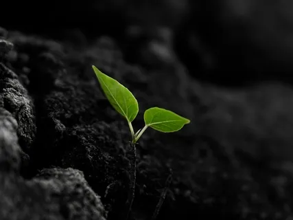 Remembering Your True Nature