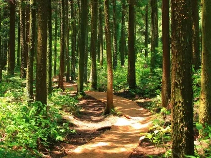 Meditation: Tapping In To Your Self-Worth