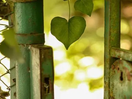 Remembering Your Worth: Self-Love Meditation