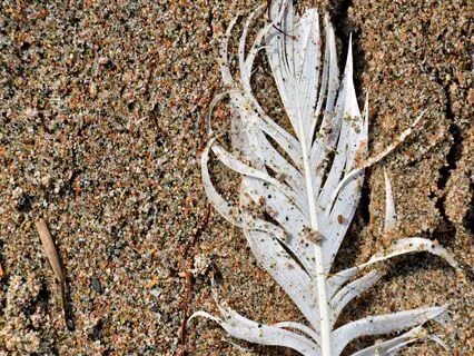 Remembering Your Worth