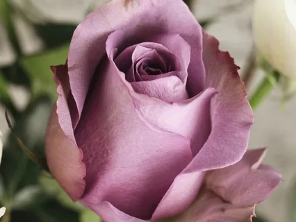 Remembrance Meditation: Al-Fattah, The Opener