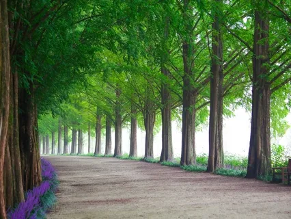 Remembrance Meditation: Al-Wasi‘ The All-Embracing