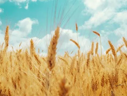 Remembrance Of Abundance