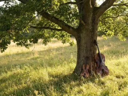 Music For Grief And Loss — String Orchestra